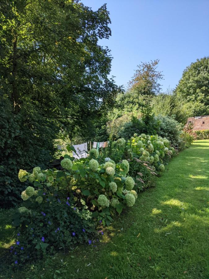 La Grange De Dourlers Bed and Breakfast Eksteriør billede